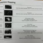 EPS Richardson Ecosystem Mapping 1